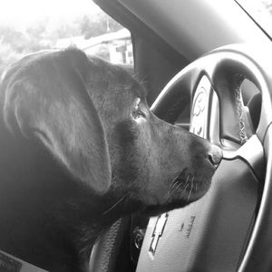 Meet your Posher, Kate